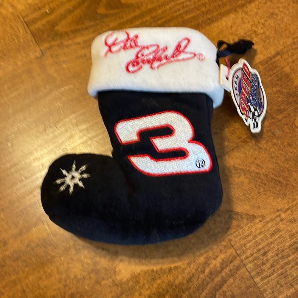 2002 Dale Earnhardt Christmas Stocking Black~Speed Beans